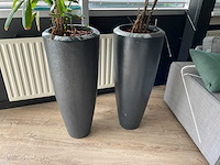 Plant met pot (2x) - afbeelding 3 van  4