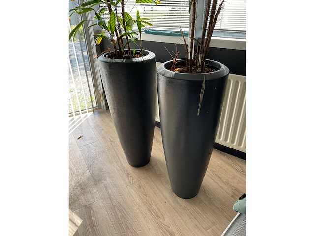 Plant met pot (2x) - afbeelding 4 van  4