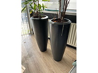 Plant met pot (2x) - afbeelding 4 van  4