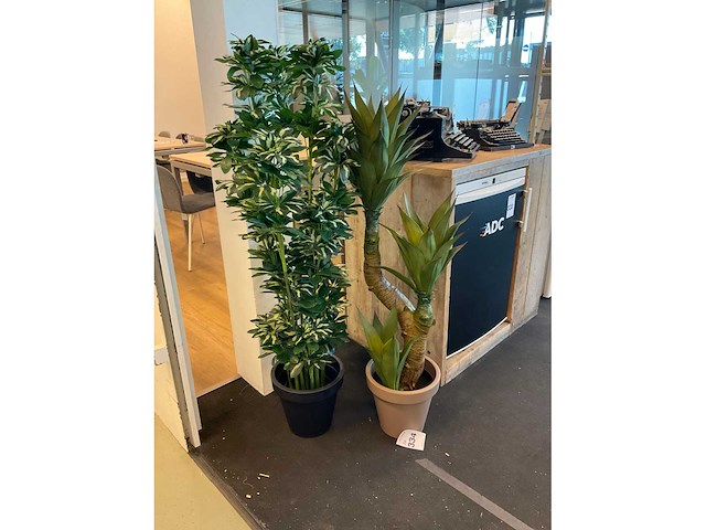 Plant met pot (2x) - afbeelding 2 van  4