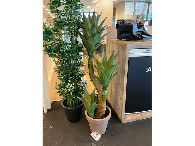 Plant met pot (2x) - afbeelding 3 van  4