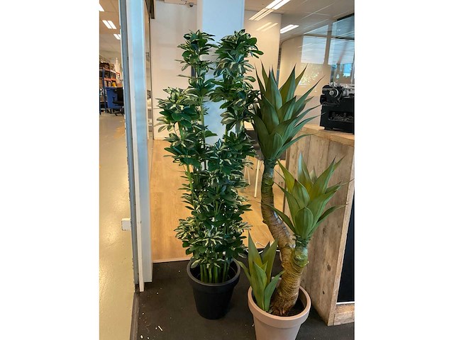 Plant met pot (2x) - afbeelding 4 van  4