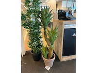 Plant met pot (2x) - afbeelding 3 van  4