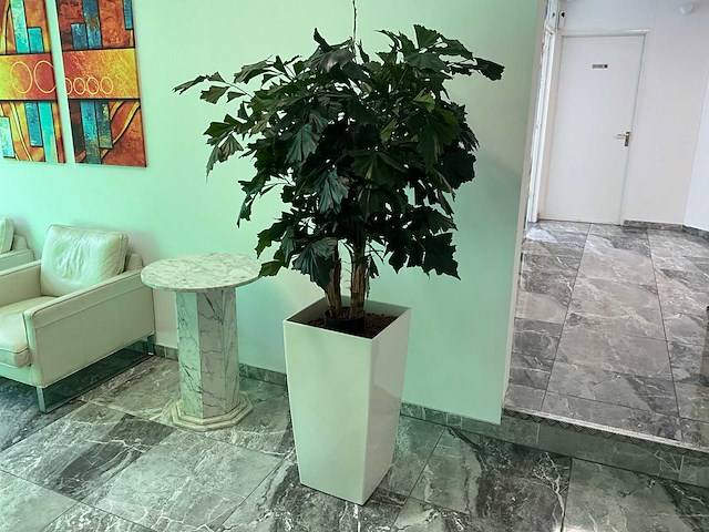 Plant met pot 40x40x180 cm - afbeelding 1 van  4
