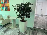 Plant met pot 40x40x180 cm - afbeelding 1 van  4