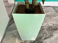 Plant met pot 40x40x180 cm - afbeelding 3 van  4