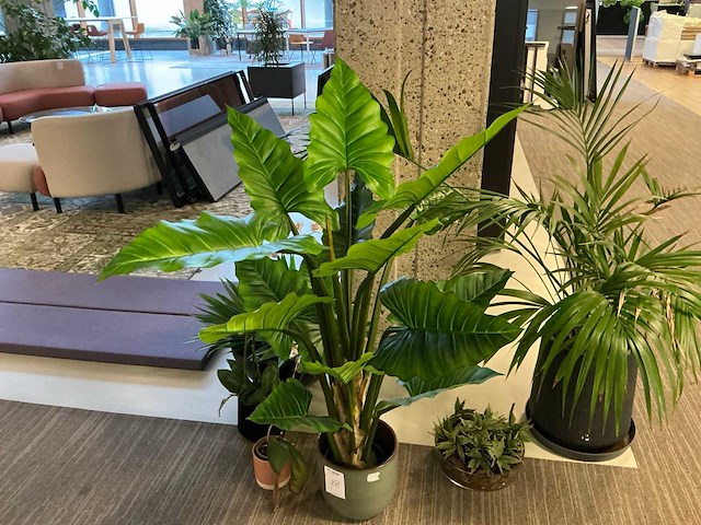 Plant met pot (6x) - afbeelding 3 van  7