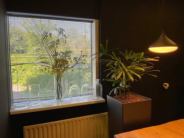 Plant met pot en vazen - afbeelding 1 van  6