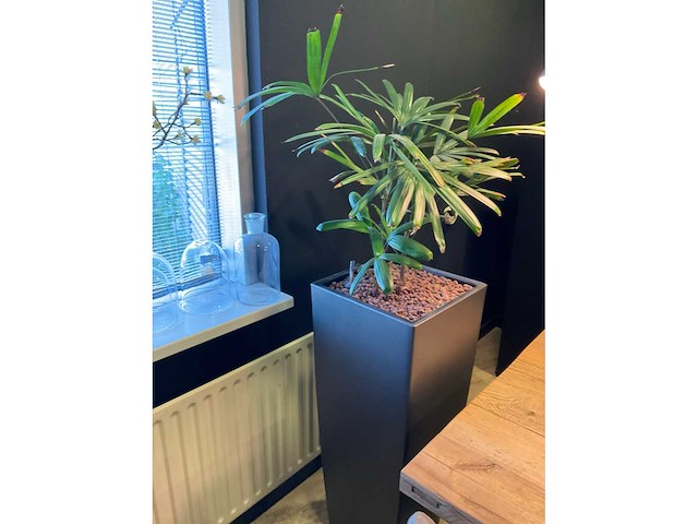 Plant met pot en vazen - afbeelding 3 van  6
