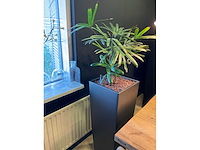 Plant met pot en vazen - afbeelding 3 van  6