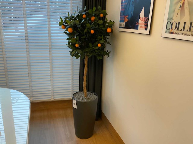 Plant met pot - afbeelding 2 van  6