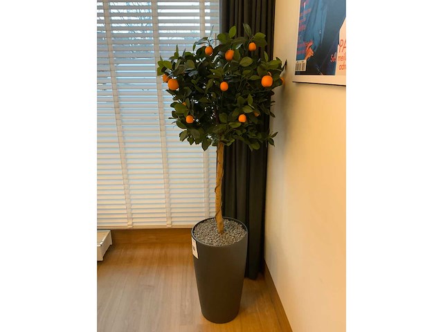 Plant met pot - afbeelding 3 van  6