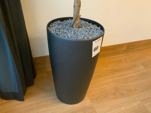 Plant met pot - afbeelding 5 van  6