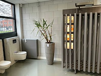 Plant met pot - afbeelding 3 van  3