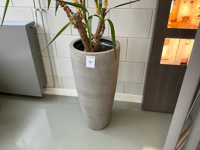 Plant met pot - afbeelding 2 van  3