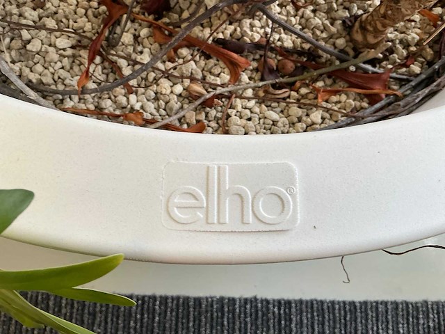 Plant met pot - afbeelding 3 van  5