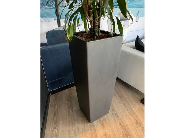 Plant met pot - afbeelding 4 van  4