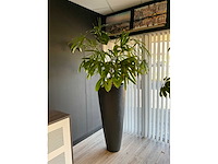Plant met pot - afbeelding 2 van  4