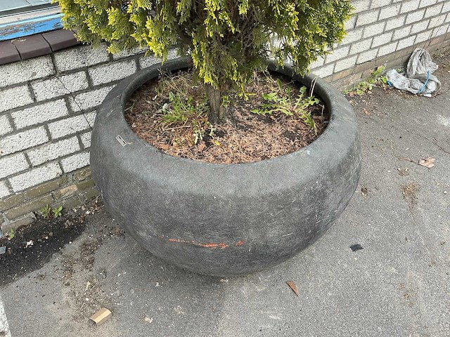 Plant met pot - afbeelding 5 van  6