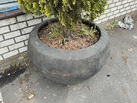 Plant met pot - afbeelding 5 van  6