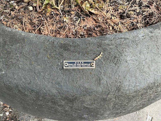 Plant met pot - afbeelding 6 van  6