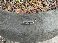 Plant met pot - afbeelding 6 van  6