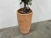 Plant met pot - afbeelding 2 van  3