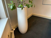 Plant met pot - afbeelding 3 van  3