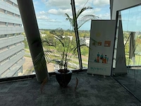 Plant met pot - afbeelding 1 van  2