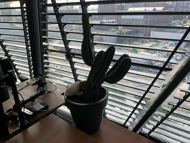 Plant met pot - afbeelding 2 van  2