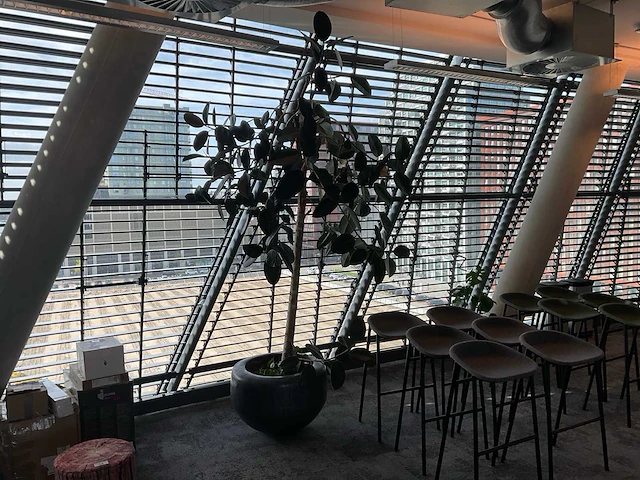 Plant met pot - afbeelding 4 van  4