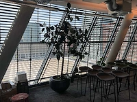 Plant met pot - afbeelding 4 van  4