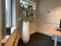 Plant met pot - afbeelding 1 van  3