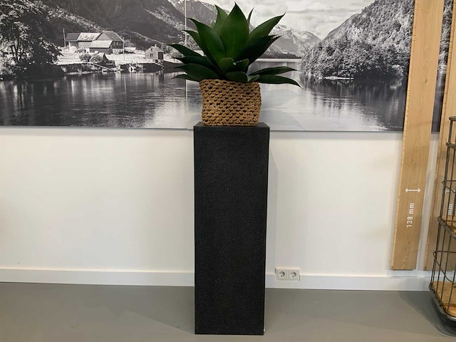 Plant op sokkel - afbeelding 1 van  3