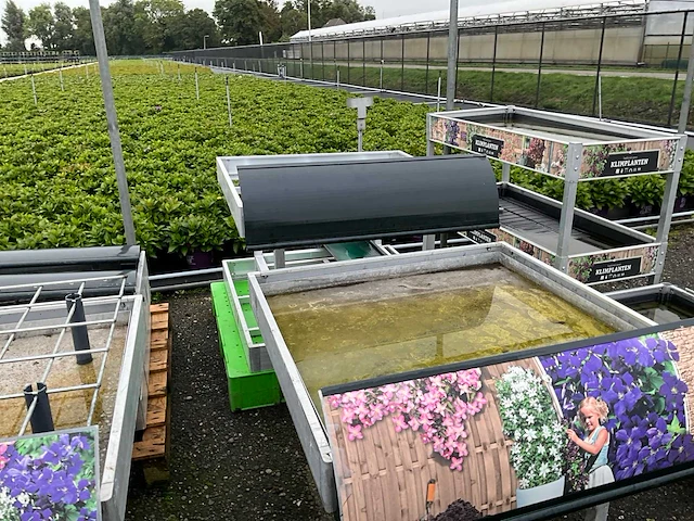 Plant presentatie rekken - afbeelding 13 van  13