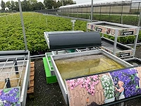 Plant presentatie rekken - afbeelding 13 van  13