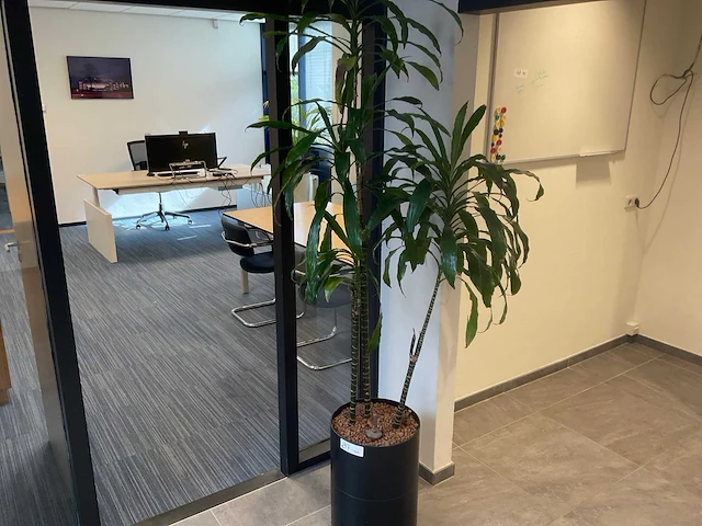 Planten met hydrocultuur pot (12x) - afbeelding 1 van  9