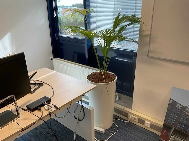 Planten met hydrocultuur pot (12x) - afbeelding 5 van  9