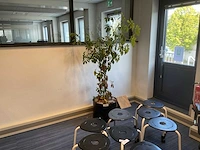 Planten met hydrocultuur pot (12x) - afbeelding 8 van  9