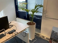 Planten met hydrocultuur pot (12x) - afbeelding 5 van  9