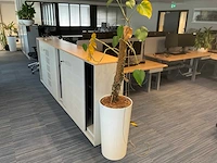 Planten met hydrocultuur pot (12x) - afbeelding 9 van  9