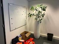 Planten met hydrocultuurpot (6x) - afbeelding 3 van  7