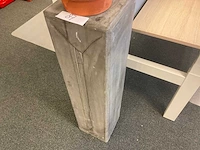 Planten met hydrocultuurpot (6x) - afbeelding 6 van  7
