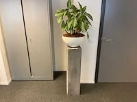 Planten met hydrocultuurpot (6x) - afbeelding 7 van  7