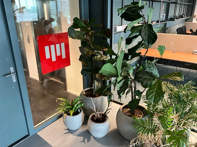 Planten met pot (10x) - afbeelding 5 van  5