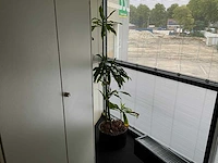 Planten met pot (10x) - afbeelding 7 van  11