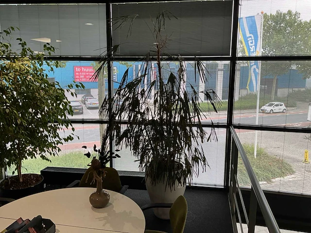 Planten met pot (10x) - afbeelding 9 van  11