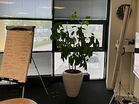 Planten met pot (10x) - afbeelding 2 van  11