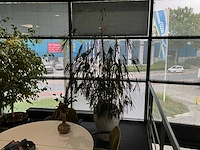 Planten met pot (10x) - afbeelding 9 van  11