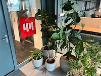 Planten met pot (10x) - afbeelding 1 van  5